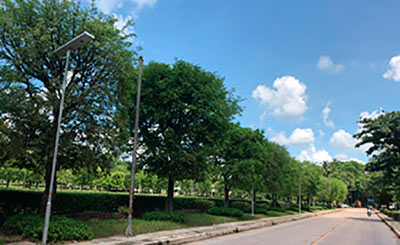 Thailand main road 50w 60w 80w integrated all in one solar solar street light